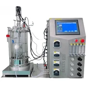 BLBIO-GJ Glass Bioreactor/Fermenter (Bottom heating)