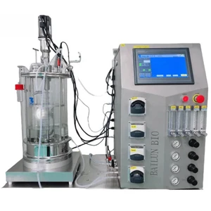 BLBIO-GJ Glass Bioreactor/Fermenter (Bottom heating)