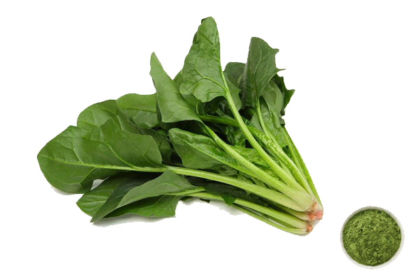 Spinach Powder