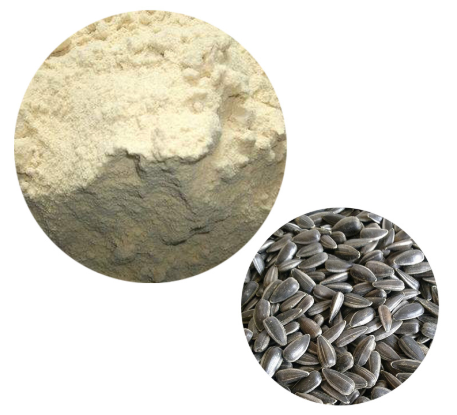 Sunflower Seeds Protein