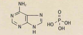 Adeninephosphate(Vitamin B4)