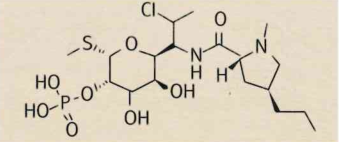Clindamycinphosphate