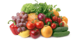 蔬菜肉类出口企业微生物控制方案