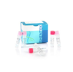 Residual E. coli DNA Quantitation Kit (2G)