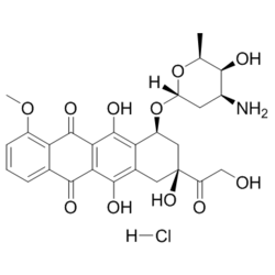 盐酸多柔比星