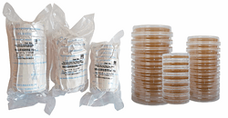 Ready-to-use plate medium