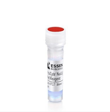 用于细胞核标记的 Incucyte® Nuclight 快速红色染料