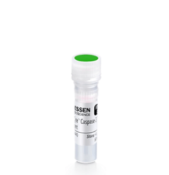 用于细胞凋亡的 Incucyte® Caspase - 3/7 绿色染料