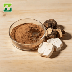 Poria Cocos Extract