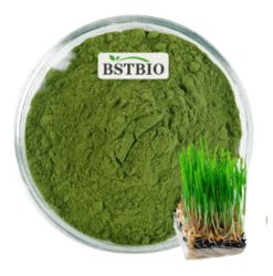 Wheatgrass Powder