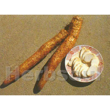 山药提取物