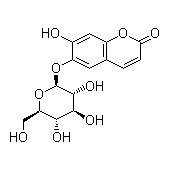 秦皮甲素 植物提取物