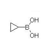 环丙基硼酸 中间体