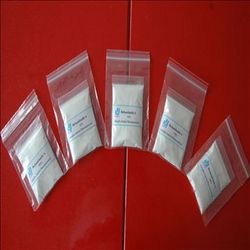 甜菊素 植物提取物