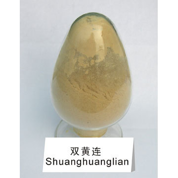 双黄连