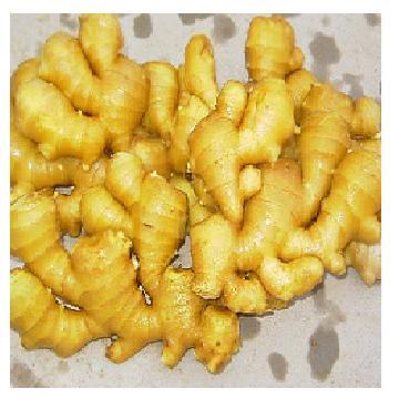 生姜精油