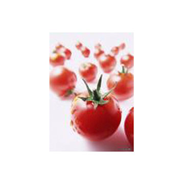 番茄红素产品图片