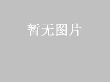 发酵虫草菌粉