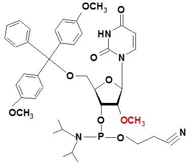 2´-甲氧基尿苷亞磷酰胺