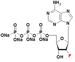 2´-氟-脫氧腺苷三磷酸鈉鹽
