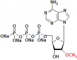 2´-氧甲基-腺苷三磷酸鈉鹽