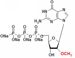 2´-氧甲基-鳥苷三磷酸鈉鹽