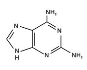 2，6-二氨基嘌呤