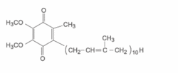辅酶Q10干粉（水溶型）