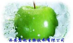 苹果多酚