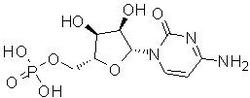 5&acute;-胞苷酸