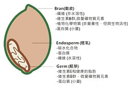 大豆异黄酮。ù蠖固崛∥铮