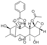 10-脫乙?；涂ǘ∪?>
                                            </div>
                                                                                                            </div>
                            </div>
                            <div   id=