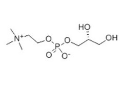 甘油磷酰胆碱
