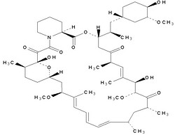 大环内酯类