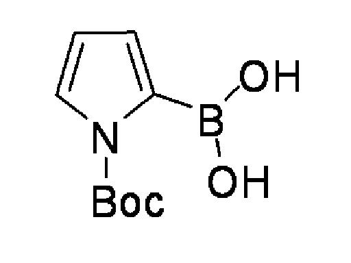 N-Boc-2-吡咯硼酸                           