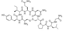 Oxytocin（縮宮素）