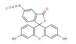 异硫氰酸荧光素(FITC)