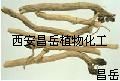 板藍(lán)根提取物