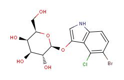 5-溴-4-氯-3-吲哚半乳糖苷（X-GAL）