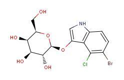 5-溴-4-氯-3-吲哚半乳糖苷（X-GAL）