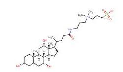 3-[3-(胆酰胺丙基)二甲氨基]丙磺酸内盐
