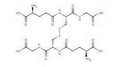 谷胱甘肽（氧化型）