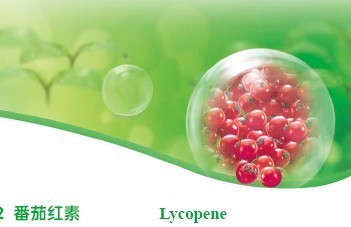 番茄红素