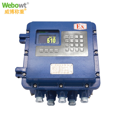 隔爆型称重仪表 EXDID510
