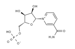烟酰胺单核苷酸