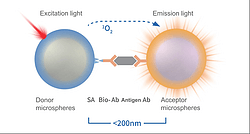 Homogeneous Luminescent Immunoassay