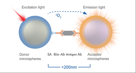 Homogeneous Luminescent Immunoassay