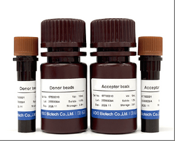 Homogeneous Luminescent Immunoassay