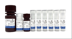 Homogeneous Luminescent Immunoassay