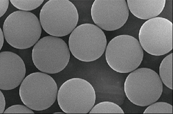 Latex Microspheres